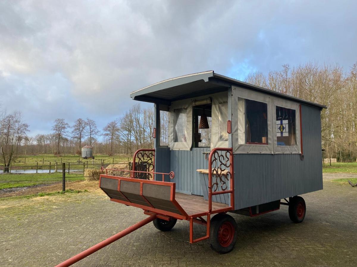 Camping de Bosrand Spier Buitenkant foto